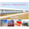 Equipamentos de avicultura com edifício de aço em venda quente